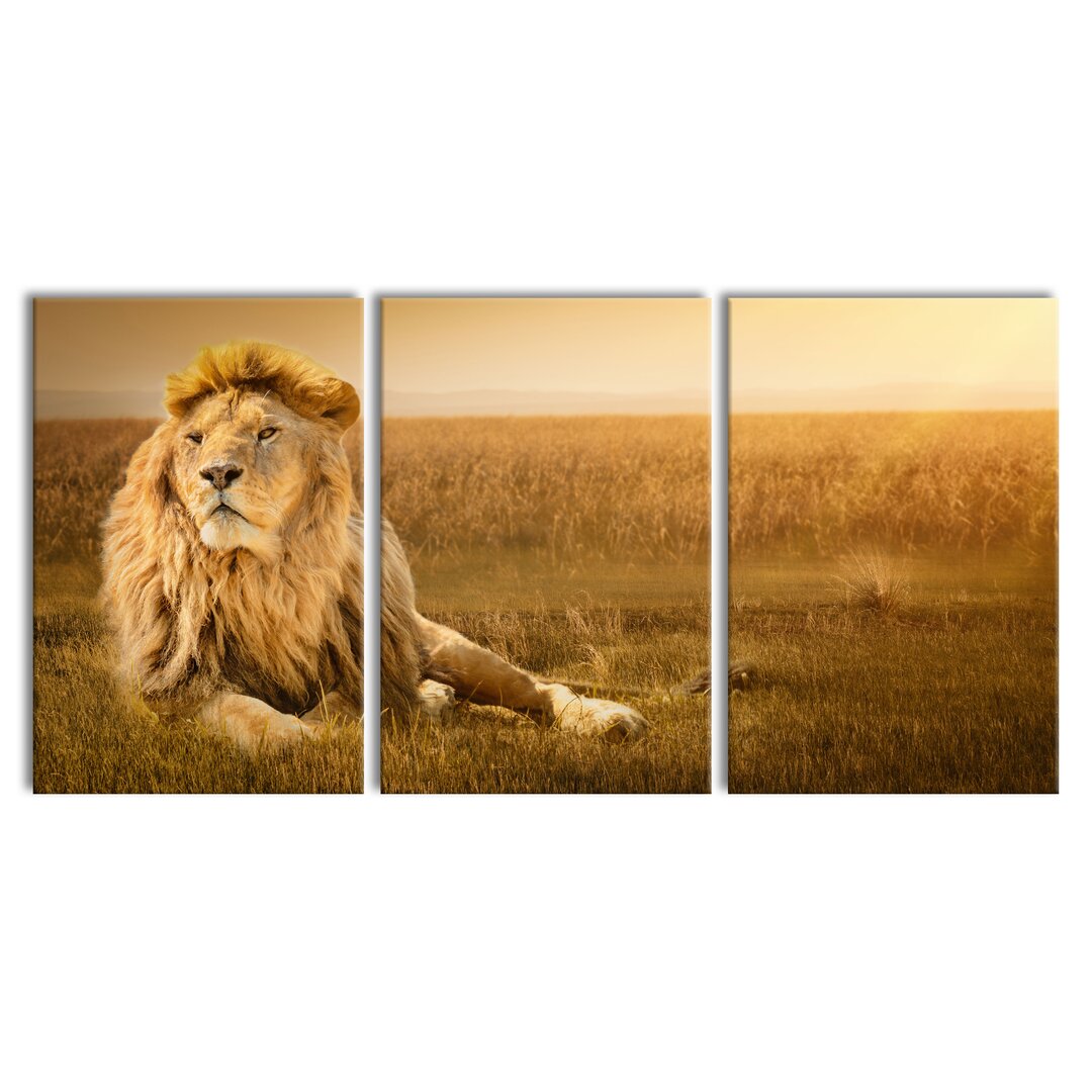 3-tlg. Leinwandbilder-Set Majestic Lion