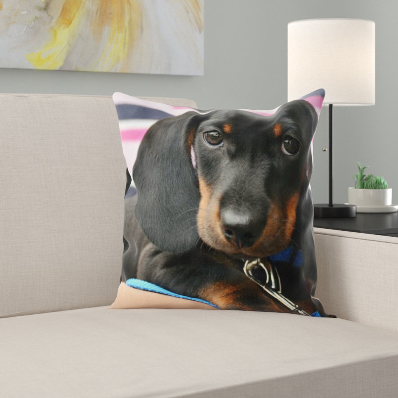 Housse et insert de coussin carré teckel