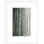 Silver Spike Small 2 Framed Photographic Print