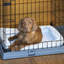 Pet Crate with 3 Doors-88709302