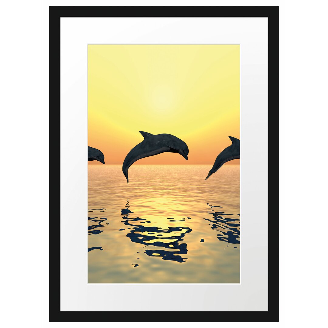 Gerahmter Fotodruck Jumping Dolphins