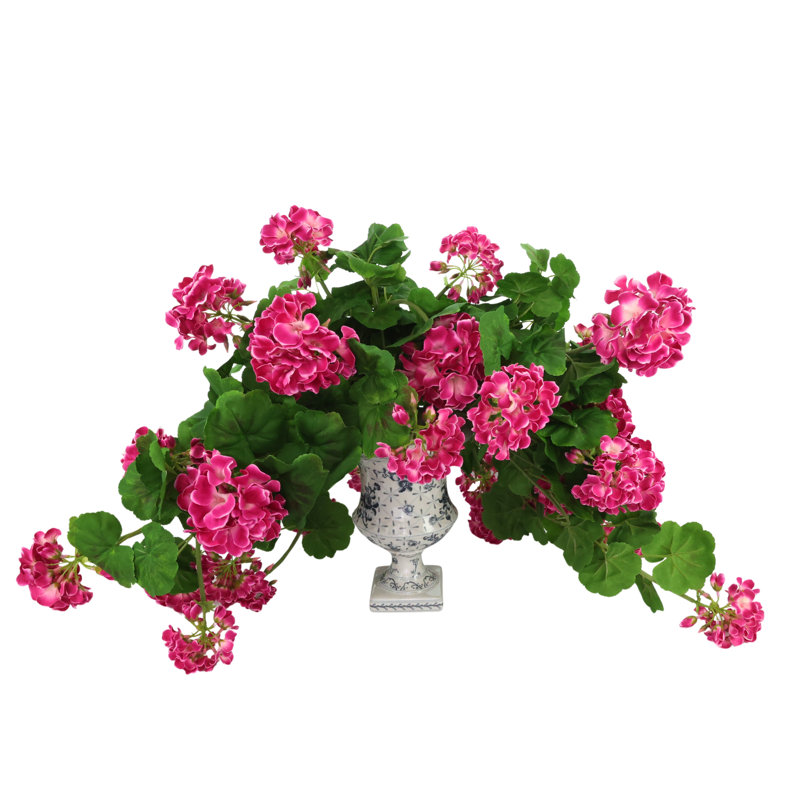 Géraniums dans un vase à piédestal décoratif
