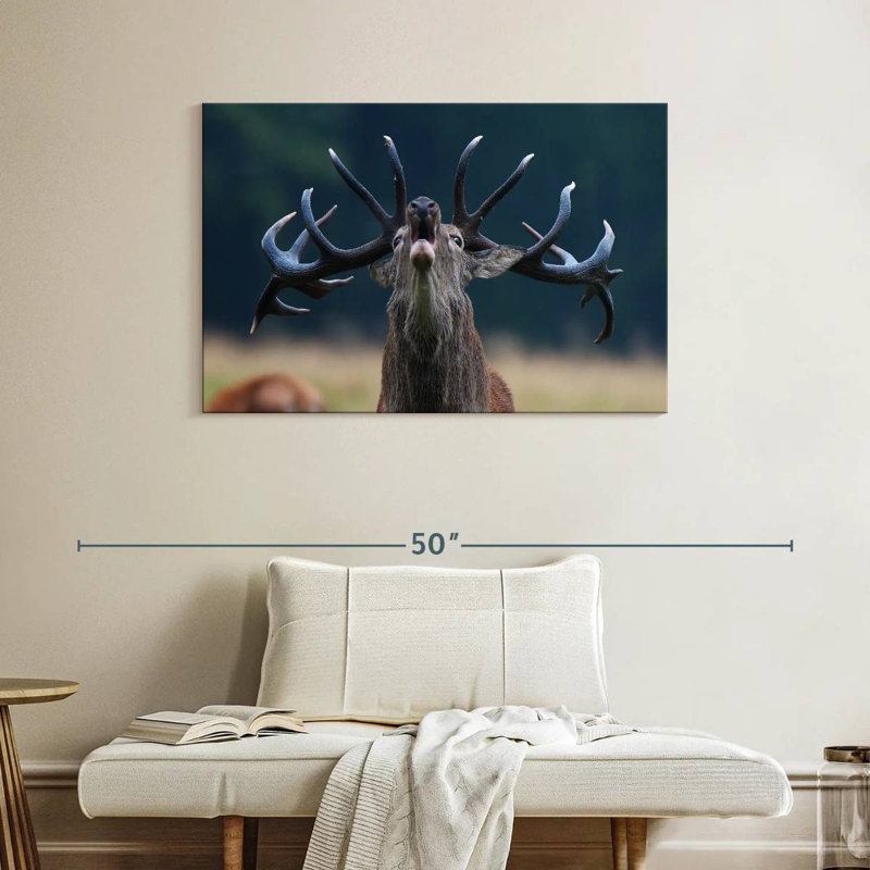 Bruit de cerf Brampt, H 26 po x l 39 po