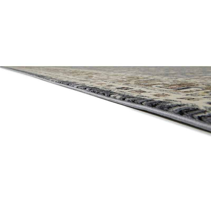 Olin Oriental Indoor Rug, Rectangle 3'11" x 5'5"