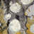 Evangeline Fabric