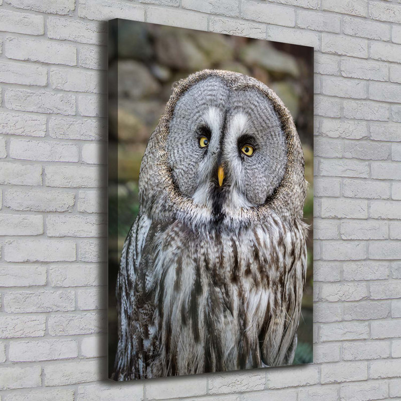 Owl - Wrapped Canvas Print