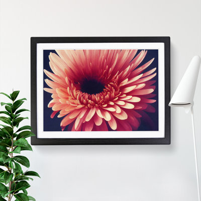Inspiring Chrysanthemum Flower - Framed Print