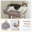 Dillmon 60.63'' H Cat Tree-864632884