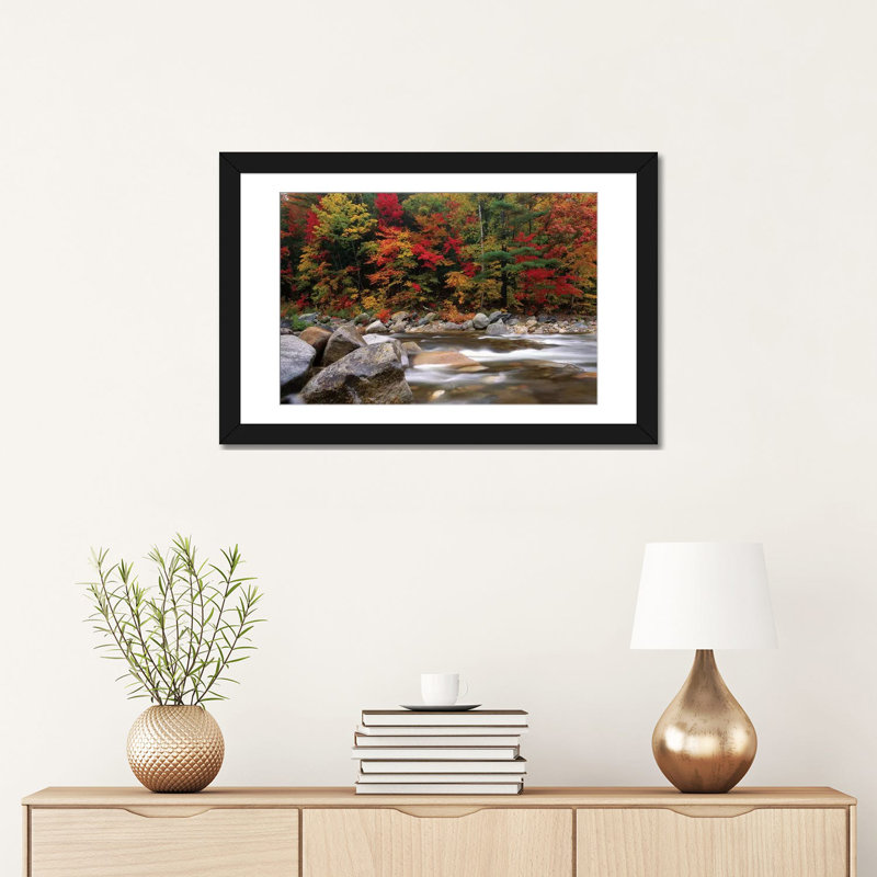 «Wild River In Eastern Hardwood Forest» par Tim Ftzharris - reproduction de photo, Papier d'art encadré noir, Blanc