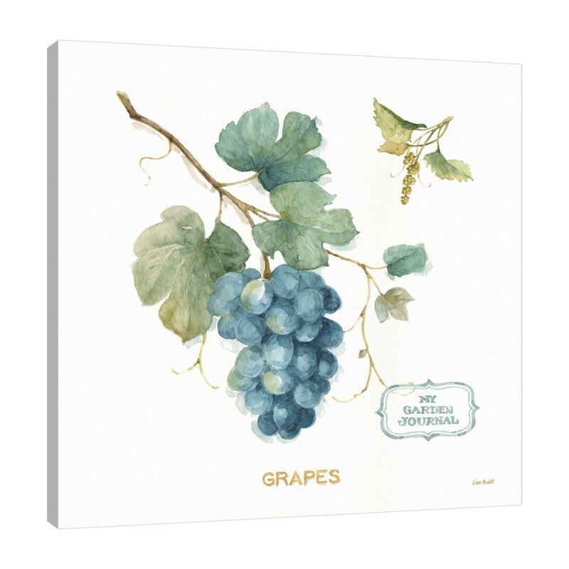 «My Greenhouse Fruit III» par Lisa Audit - reproduction sur toile, Toile tendue, Sans mat, H 48 po x l 48 po x P 1,5 po