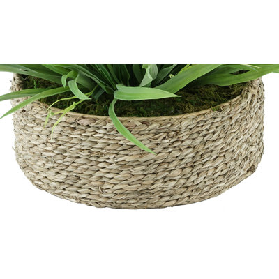 Faux Grass in Wicker/Rattan Basket