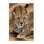 Washable Sudanese Cheetah Big Cats Area Rug