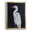Calm Great Egret I - impression-1507152962-1507152967