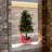 Lighted Christmas Tree