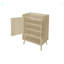 Armoire de rangement pour chaussures autoportante et moderne, pour entrée