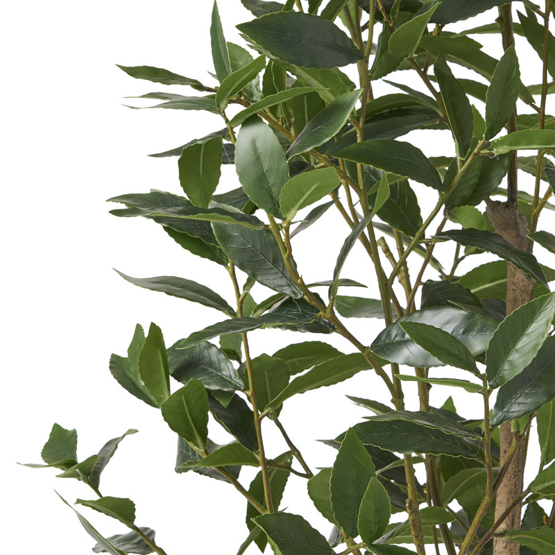 5FT Artificial Laurel Tree (1Pack)