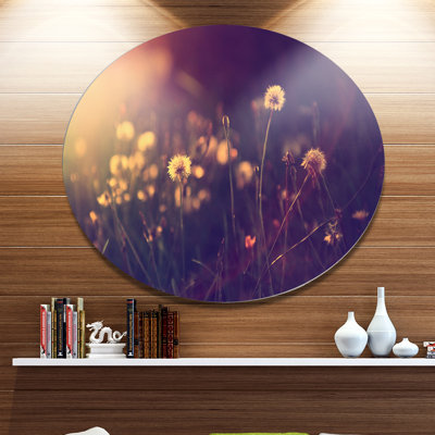 «Vintage Dandelion Meadow Photo», photographie