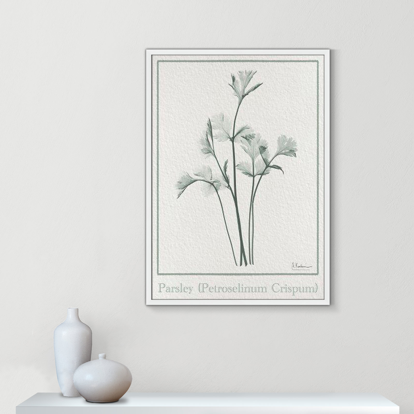 Jeanette "Parsley II" Print by Albert Koetsier, 35.5" H x 25.5" W x 1.25" D, Satin White Framed Paper