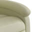Fauteuil inclinable Budhram-627537220-660605468