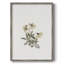 Impression florale vintage encadrée CL XXVI - bois massif-393432353