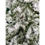 Arbre de Noël-63552461