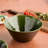Verde Deep Bowl
