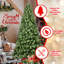 Arbre de Noël en PVC pré-éclairé avec 300 lumières UL-1244870253