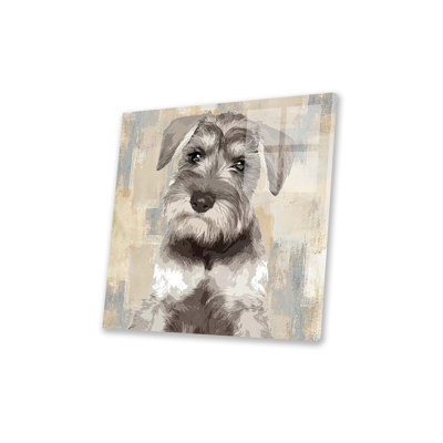 Schnauzer miniature sur verre acrylique