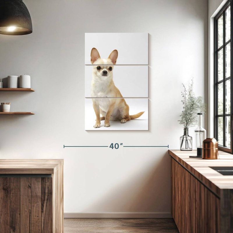 Brampt Seated Chihuahua, 38" H x 24" W