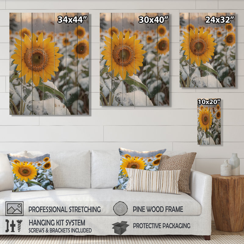 Country Side Sunflowers In A Snowy Barnyard III - Sunflowers Wood Wall Decor - On Natural Pine Wood, 32" H x 24" W x 0.78" D