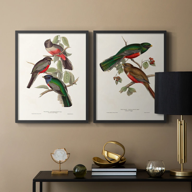 Impression encadrée ElegantTrogonsV-Premium - prêt à être accroché - aucun clou requis - aucun clou requis, H 11 po x l 18 po