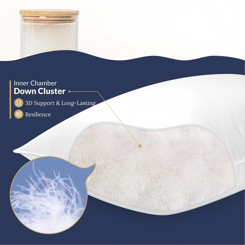 Luxury High-End 100% Natural Goose Down Pillows, Standard 