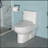 Modern Ceramic One Piece Toilet,Single Flush With Soft Clsoing Seat