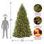 Sapin Dunhill avec lumières claires-727777758