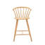 Ridhi Counter Stool-1529241223