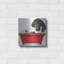 Art mural en métal Trinx «Black Dachshund in Red Tub» par Danny Gordon-119685809