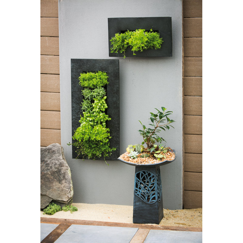 Heidenreich Zinc Indoor/Outdoor Wall Planter, Aged Zinc