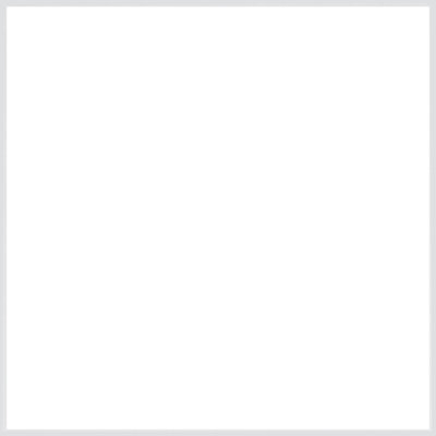 C3® Toilet Seat Bidet Elongated Bidet Seat