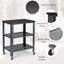 Tannersville 60 cm W Kitchen Cart with