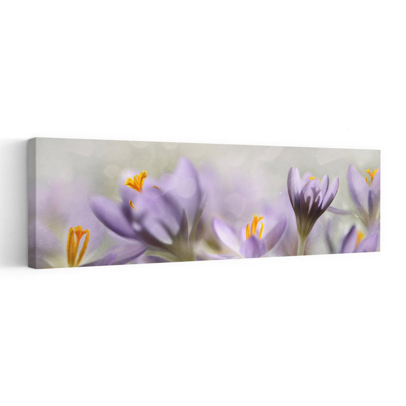 Dreamy Purple Crocuses 1 Piece Wrapped Canvas Panoramic Wall Art, 91.44 cm H x 30.48 cm W