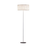 Curvas Floor Lamp