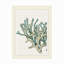 Toile d'extérieur Fab Funky «Blue Underwater Scenes 1 C»-87946053