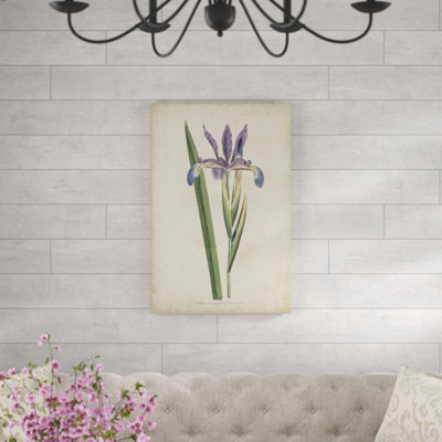 Lavender Curtis Botanicals III - Painting Print