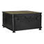 Shorney Accent Trunk