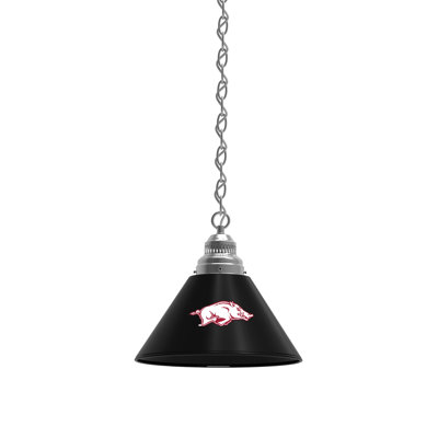 1 - Light Single Pendant