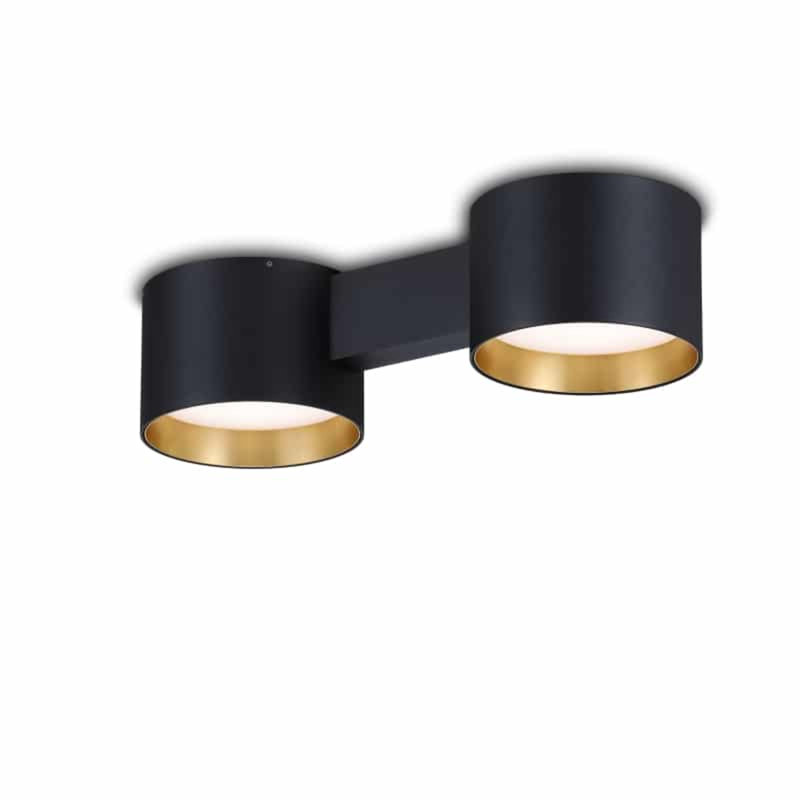 UltraBeam 20 Watt Twin LED Flush Ceiling Light Fixture, Black