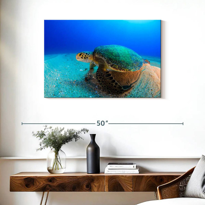 Tortue de mer Brampt, H 24 po x l 36 po
