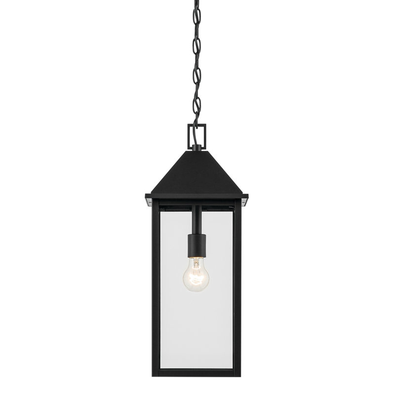 22" 1-Light Outdoor Pendant with Clear Glass, Satin Black