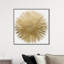 Sunburst Adore - impression-72508286-119405847-72508280