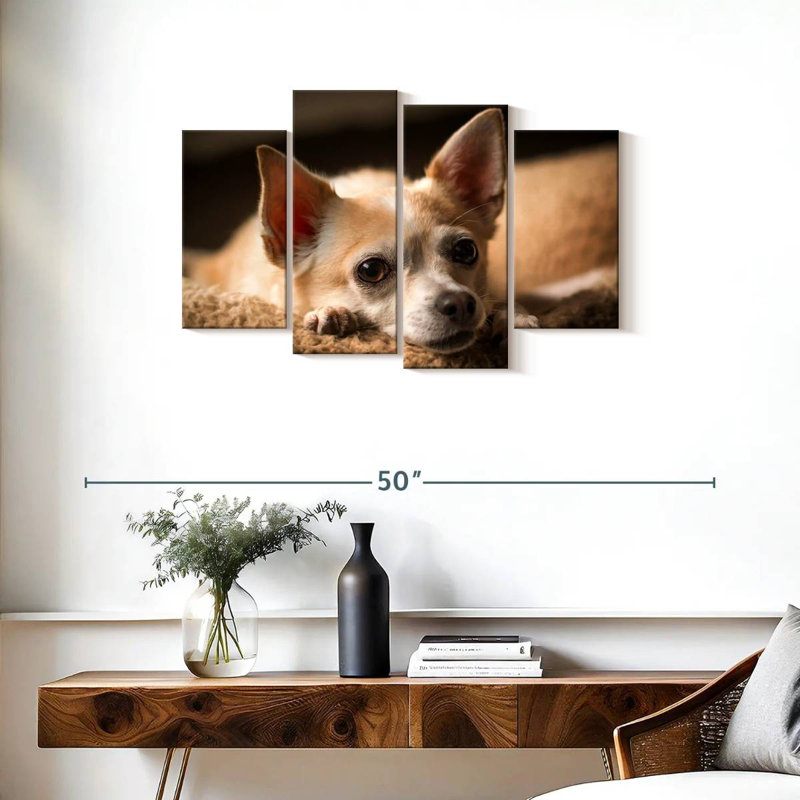 Chihuahua au repos Brampt, H 22 po x l 36 po